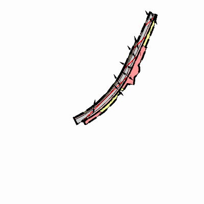 Export Image