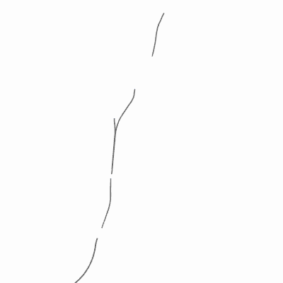 Export Image